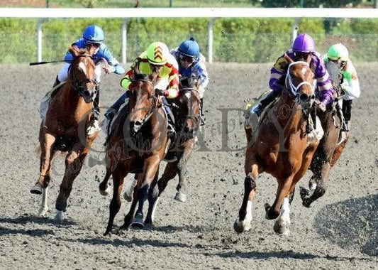 Turbulent Descent - Turn The 26Th Running Of Keeneland