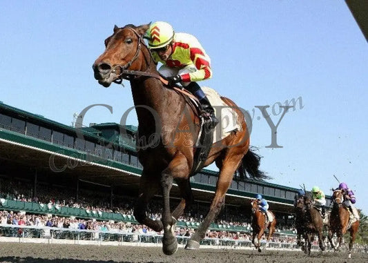 Turbulent Descent - Under Rail The 26Th Running Keeneland