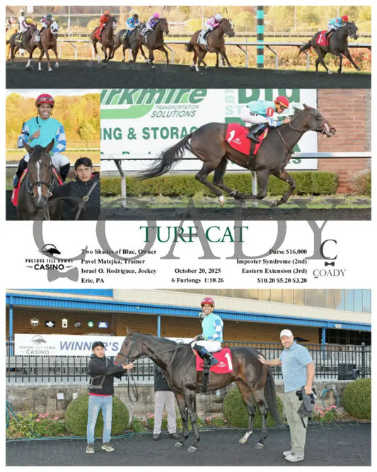 TURF CAT - 10-20-25 - R06 - PID Presque Isle Downs