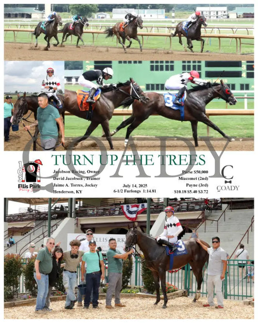 TURN UP THE TREES - 07-14-25 - R06 - ELP Ellis Park
