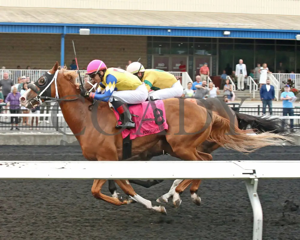 Twilight Dancer - The Hard Spun Stakes 15Th Running 07-22-24 R07 Pid Inside Finish Presque Isle