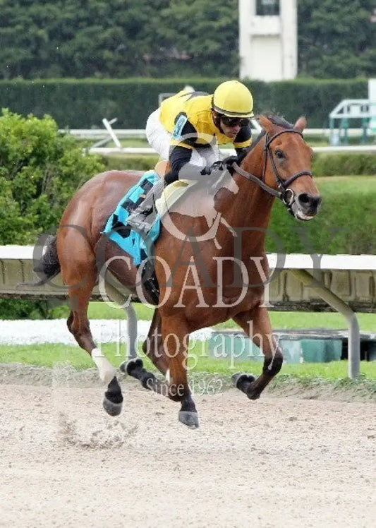 TWILIGHT ECLIPSE - 122813 - Race 07 - CRC - Fin2 - Coady Media - Kurtis Coady Photography