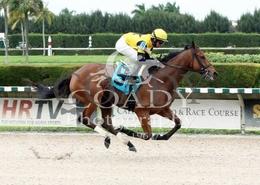 TWILIGHT ECLIPSE - 122813 - Race 07 - CRC - Finish - Coady Media - Kurtis Coady Photography