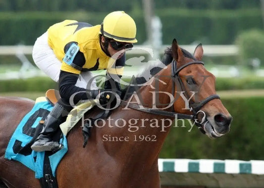 TWILIGHT ECLIPSE - 122813 - Race 07 - CRC - Tight - Coady Media - Kurtis Coady Photography