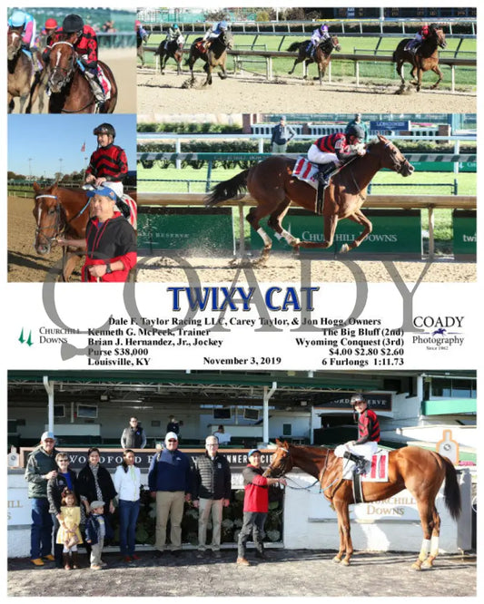 Twixy Cat - 11-03-19 R06 Cd Churchill Downs