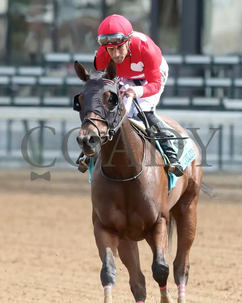 TWO SHARP - 052625 - Race 08 - CD - Comeback 06 Churchill Downs