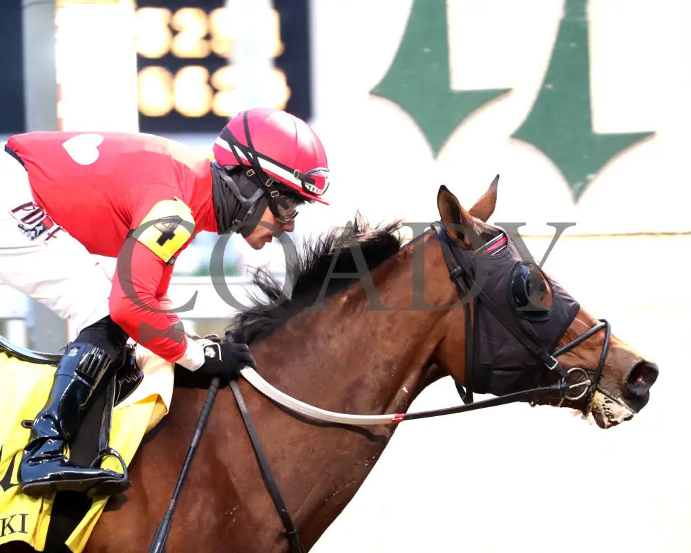 Two Sharp - 112324 Race 08 Cd Tight Finish 01 Churchill Downs