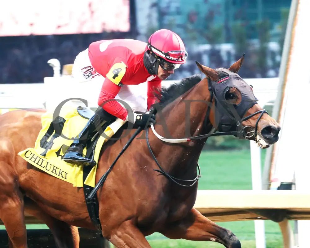Two Sharp - 112324 Race 08 Cd Tight Finish 02 Churchill Downs