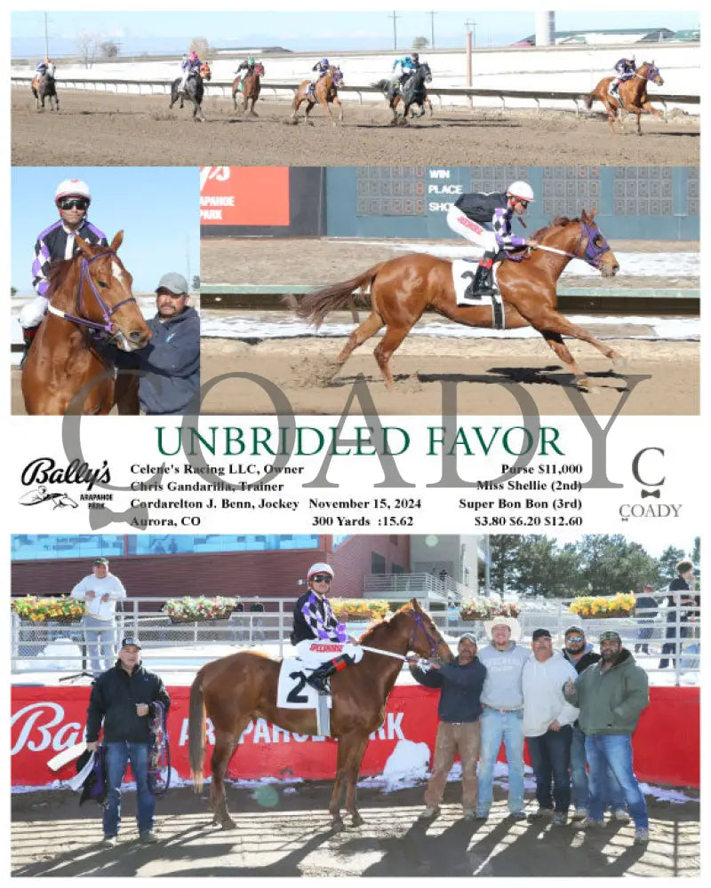 Unbridled Favor - 11-15-24 R01 Arp Arapahoe Park