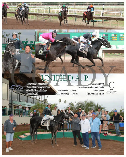UNIFIED A. P. - 11-15-25 - R07 - TUP Turf Paradise