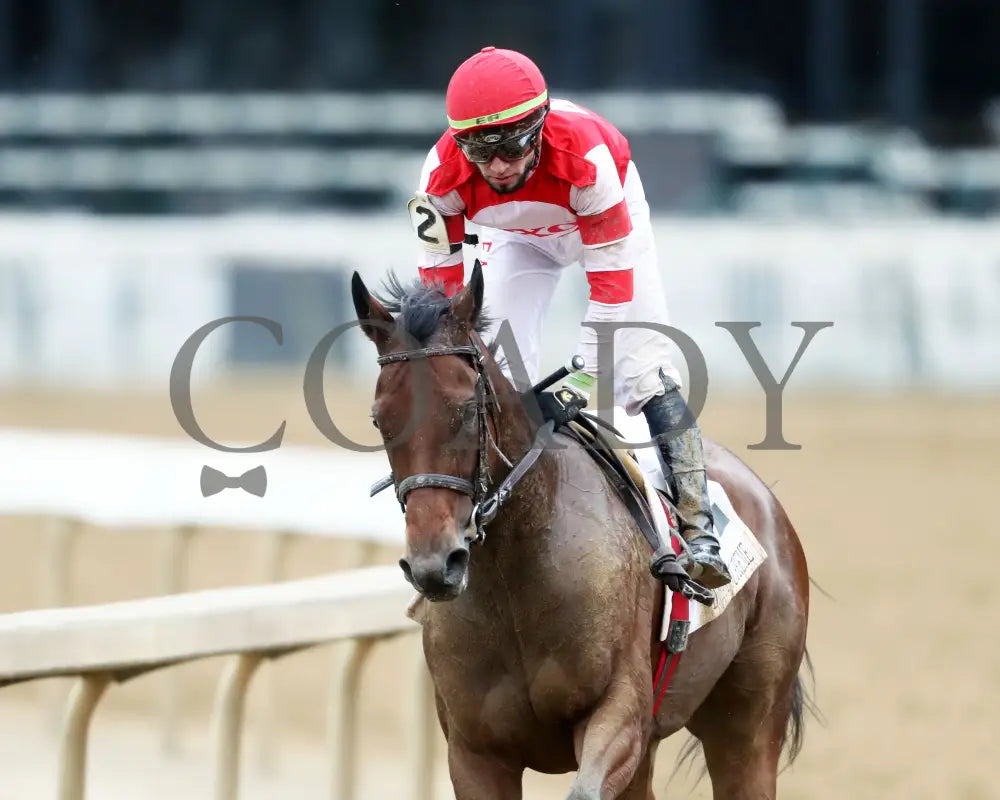 Upper Case - The Dream Supreme 19Th Running 11-09-24 R08 Cd Come Back 03 Churchill Downs