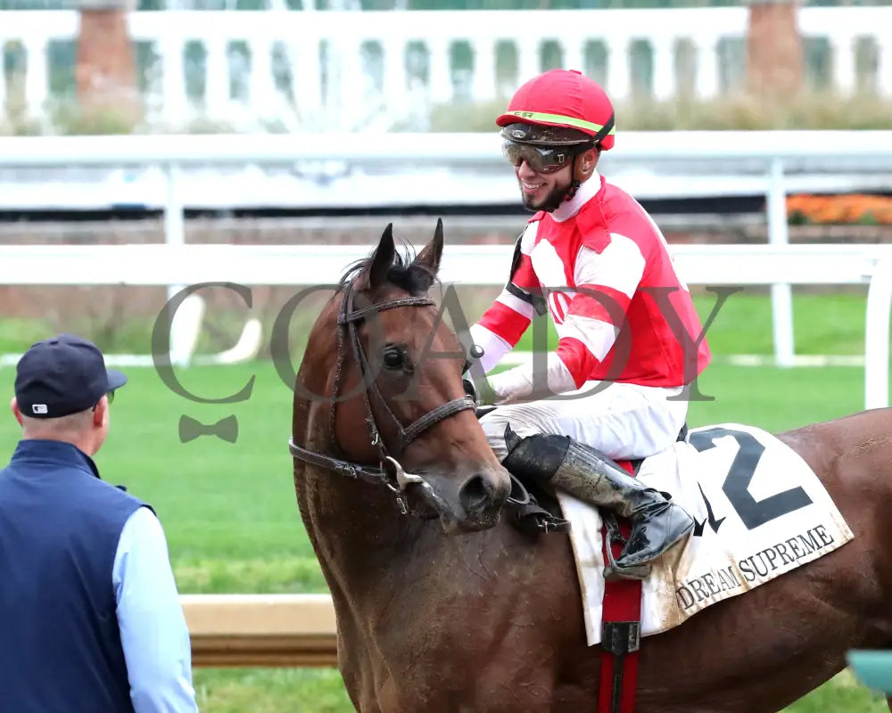 Upper Case - The Dream Supreme 19Th Running 11-09-24 R08 Cd Come Back 04 Churchill Downs