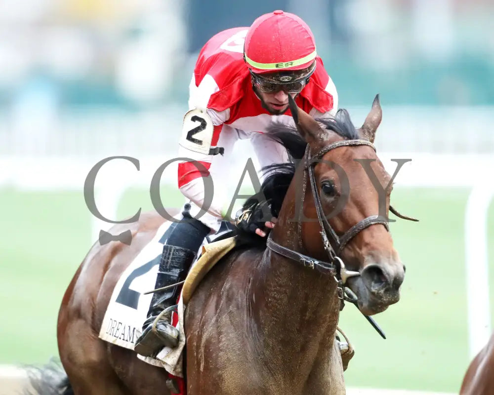 Upper Case - The Dream Supreme 19Th Running 11-09-24 R08 Cd Gallop Out 01 Churchill Downs
