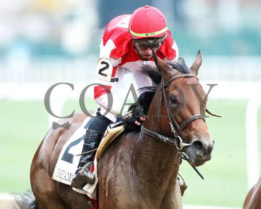 Upper Case - The Dream Supreme 19Th Running 11-09-24 R08 Cd Gallop Out 01 Churchill Downs