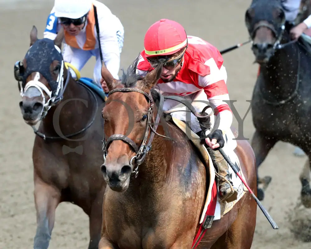 Upper Case - The Dream Supreme 19Th Running 11-09-24 R08 Cd Inside Finish 01 Churchill Downs