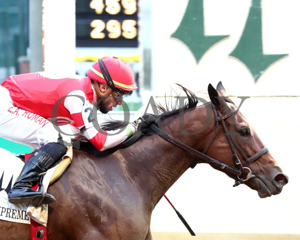 Upper Case - The Dream Supreme 19Th Running 11-09-24 R08 Cd Tight Finish 01 Churchill Downs