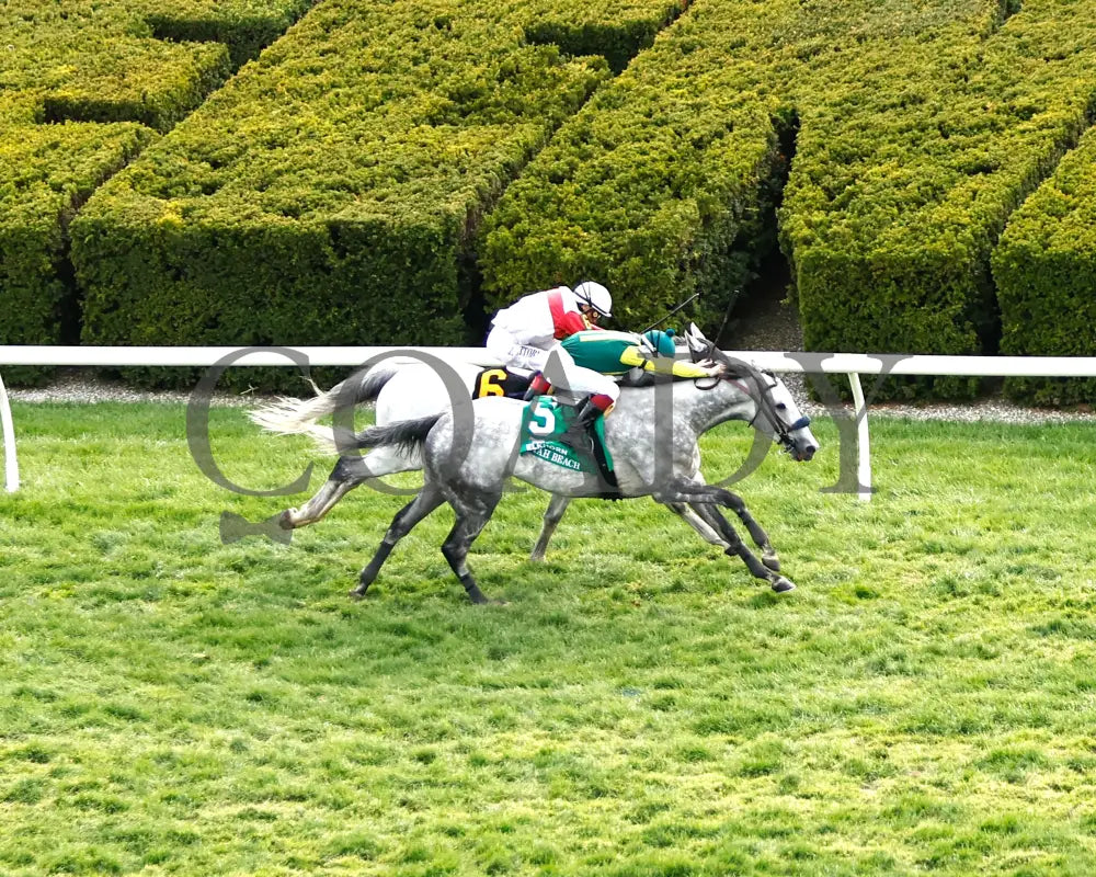 UTAH BEACH - The VisitLEX Elkhorn G2 - 04-19-25 - R09 - KEE - Aerial Finish 01 Keeneland