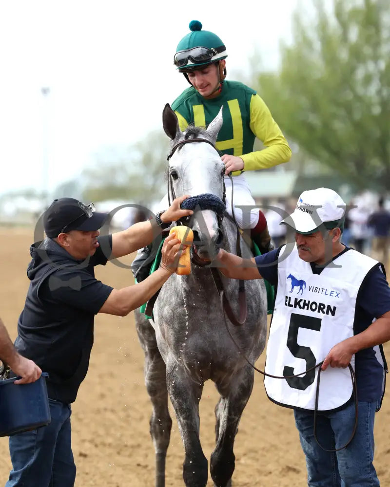 UTAH BEACH - The VisitLEX Elkhorn G2 - 04-19-25 - R09 - KEE - Come Back 01 Keeneland