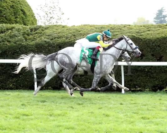 UTAH BEACH - The VisitLEX Elkhorn G2 - 04-19-25 - R09 - KEE - Finish 01 Keeneland