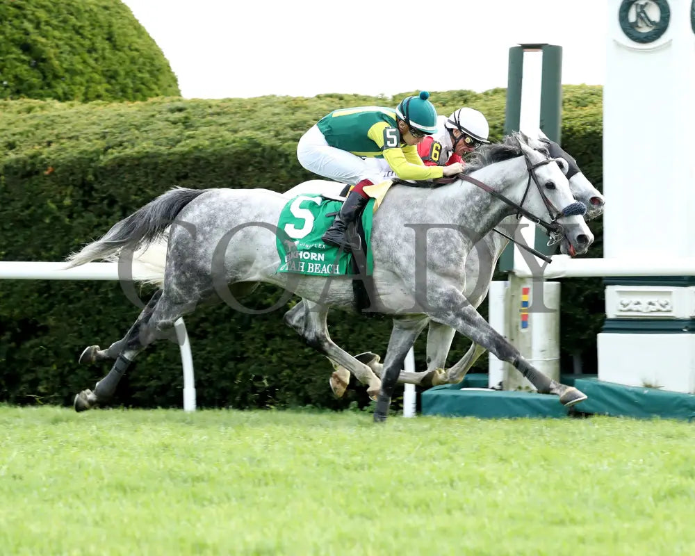 UTAH BEACH - The VisitLEX Elkhorn G2 - 04-19-25 - R09 - KEE - Finish 02 Keeneland