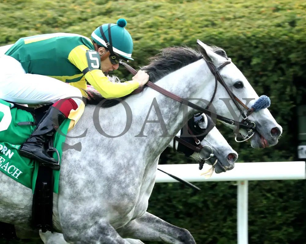 UTAH BEACH - The VisitLEX Elkhorn G2 - 04-19-25 - R09 - KEE - Finish 03 Keeneland
