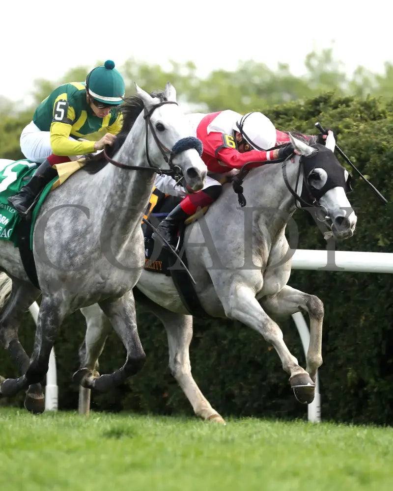 UTAH BEACH - The VisitLEX Elkhorn G2 - 04-19-25 - R09 - KEE - Finish 04 Keeneland