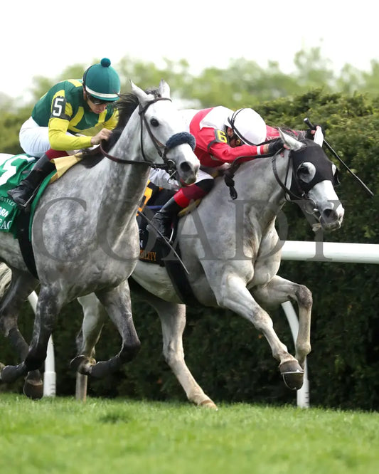 UTAH BEACH - The VisitLEX Elkhorn G2 - 04-19-25 - R09 - KEE - Finish 04 Keeneland