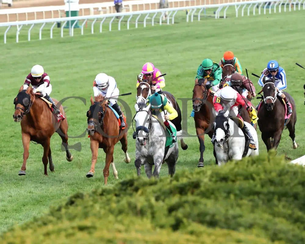 UTAH BEACH - The VisitLEX Elkhorn G2 - 04-19-25 - R09 - KEE - Inside Finish 01 Keeneland