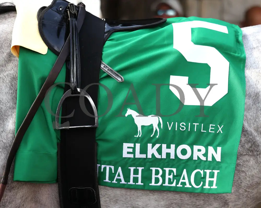 UTAH BEACH - The VisitLEX Elkhorn G2 - 04-19-25 - R09 - KEE - Paddock 01 Keeneland