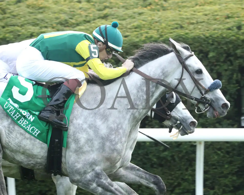UTAH BEACH - The VisitLEX Elkhorn G2 - 04-19-25 - R09 - KEE - Tight Finish 01 Keeneland