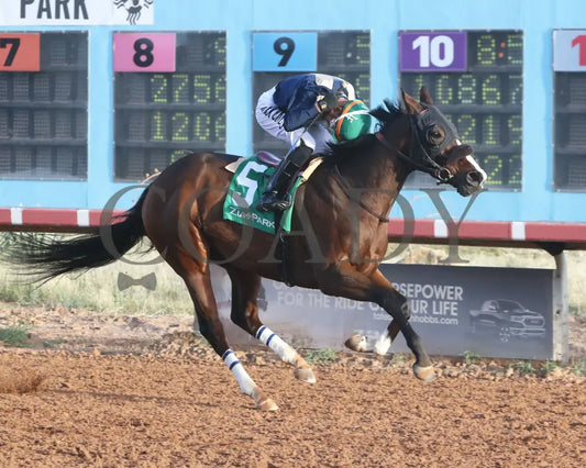 Valence - Zia Park Oaks 11-26-24 R09 Finish 2