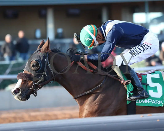 Valence - Zia Park Oaks 11-26-24 R09 Inside Finish 2