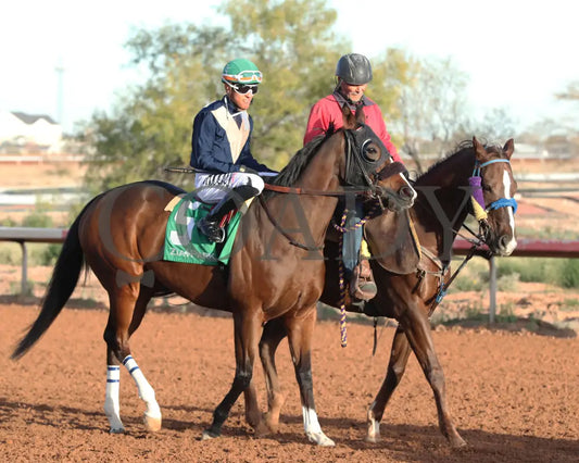 Valence - Zia Park Oaks 11-26-24 R09 Post Parade
