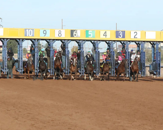Valence - Zia Park Oaks 11-26-24 R09 Starting Gate