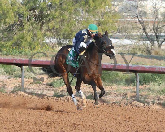 Valence - Zia Park Oaks 11-26-24 R09 Stretch