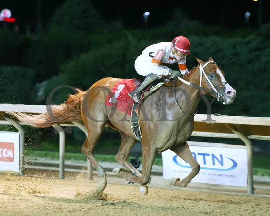 Valentine Candy - Robert Hilton Memorial 13Th Running 08-23-24 R09 Ct Finish 02 Hollywood Casino At