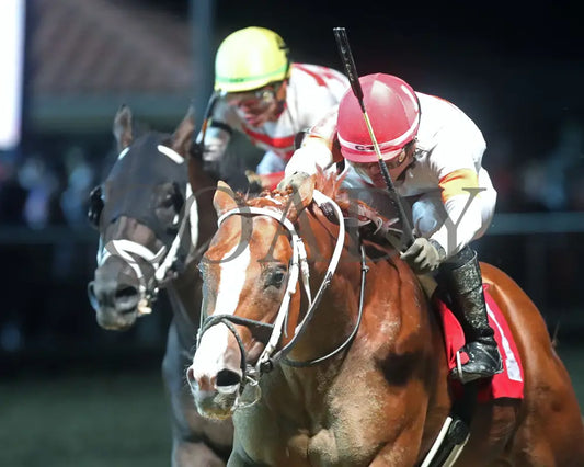 Valentine Candy - Robert Hilton Memorial 13Th Running 08-23-24 R09 Ct Inside Finish 01 Hollywood