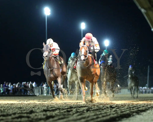 Valentine Candy - Robert Hilton Memorial 13Th Running 08-23-24 R09 Ct Under Rail 01 Hollywood