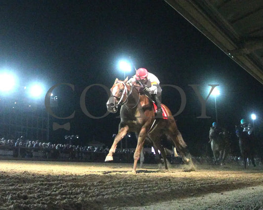 Valentine Candy - Robert Hilton Memorial 13Th Running 08-23-24 R09 Ct Under Rail 02 Hollywood