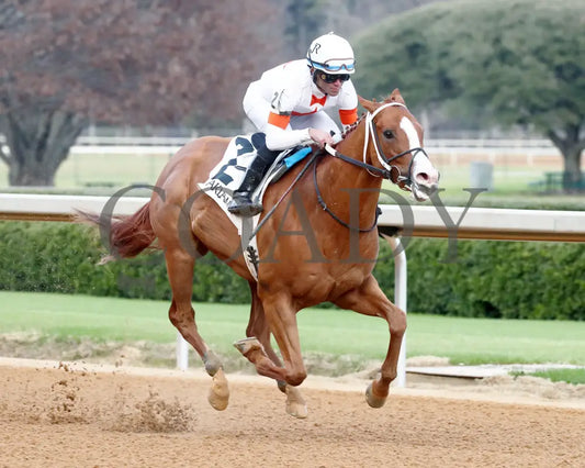 Valentine Candy - The Renaissance Stakes 2Nd Running 12-31-23 R07 Op Finish 02 Oaklawn Park