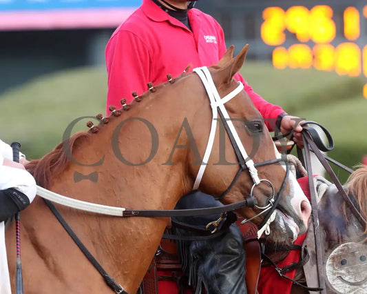 Valentine Candy - The Renaissance Stakes 2Nd Running 12-31-23 R07 Op Post Parade 03 Oaklawn Park