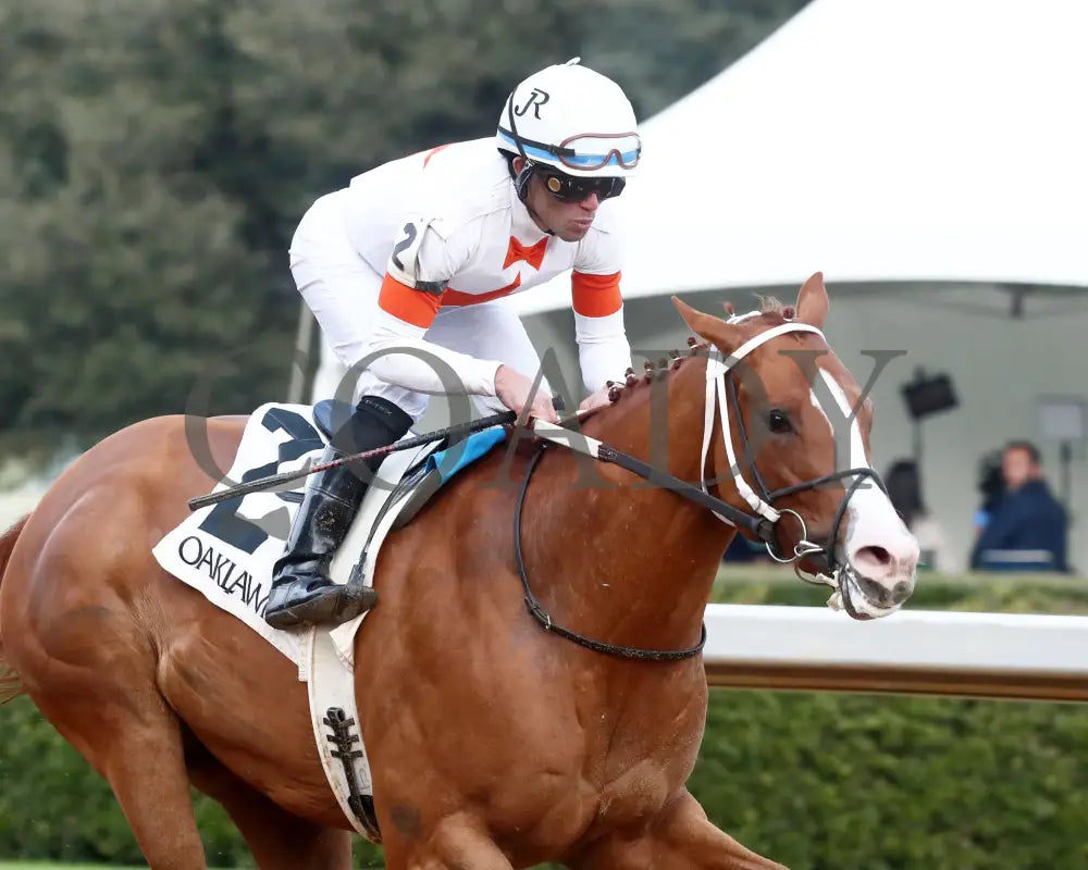 Valentine Candy - The Renaissance Stakes 2Nd Running 12-31-23 R07 Op Tight Finish 02 Oaklawn Park