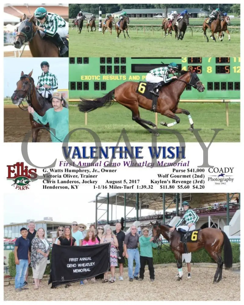 Valentine Wish - 080517 Race 09 Elp Ellis Park