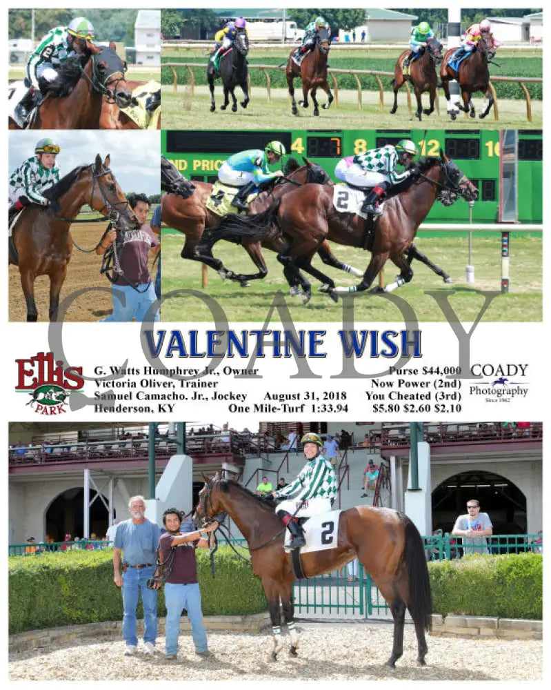 Valentine Wish - 083118 Race 03 Elp Ellis Park