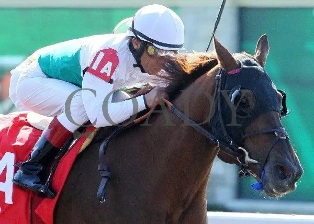 Vamos A Ver - 1 102211 Race 01 Keeneland