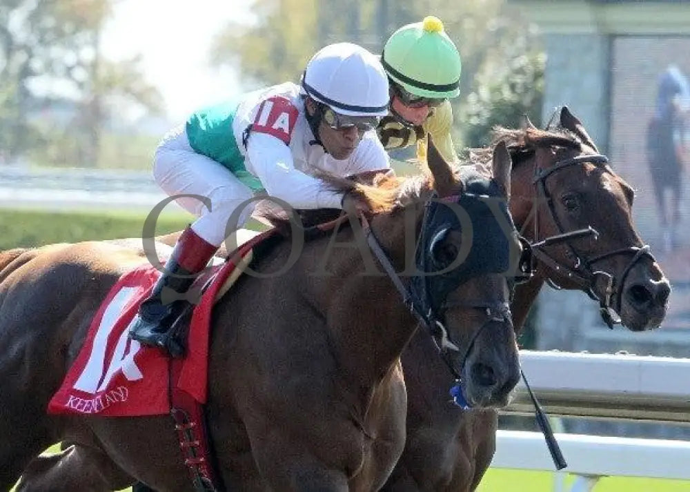 Vamos A Ver - 2 102211 Race 01 Keeneland