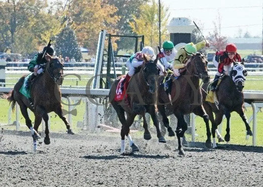 Vamos A Ver - 3 102211 Race 01 Keeneland