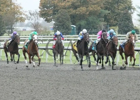 Vee One Rotate - 1 102011 Race 04 Keeneland