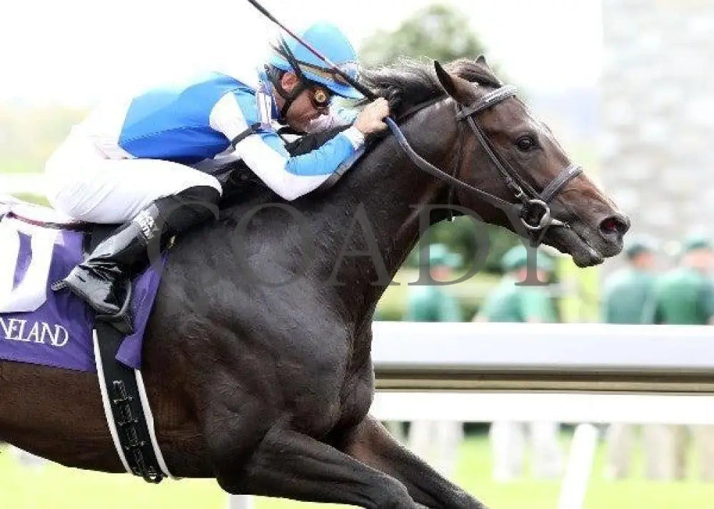 Vee One Rotate - 2 100911 Race 02 Keeneland