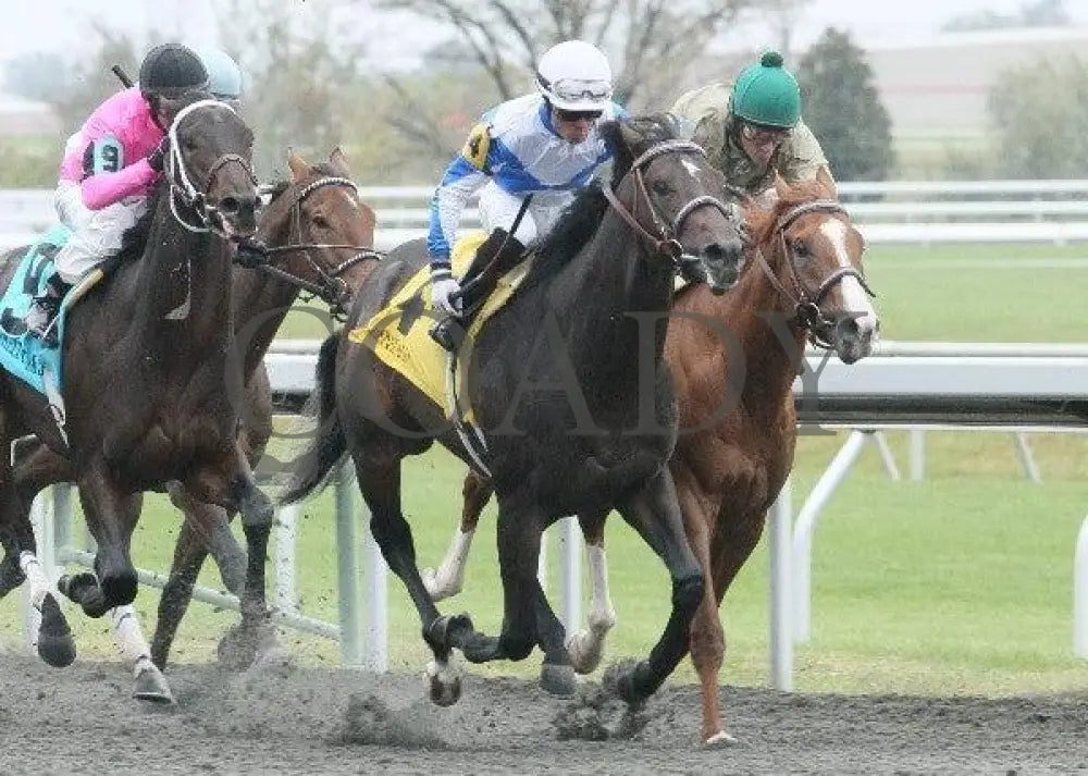 Vee One Rotate - 2 102011 Race 04 Keeneland